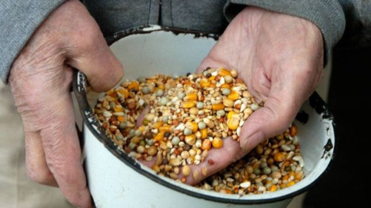 الفيتامينات والمكملات الغذائية الأساسية لصحة الحمام