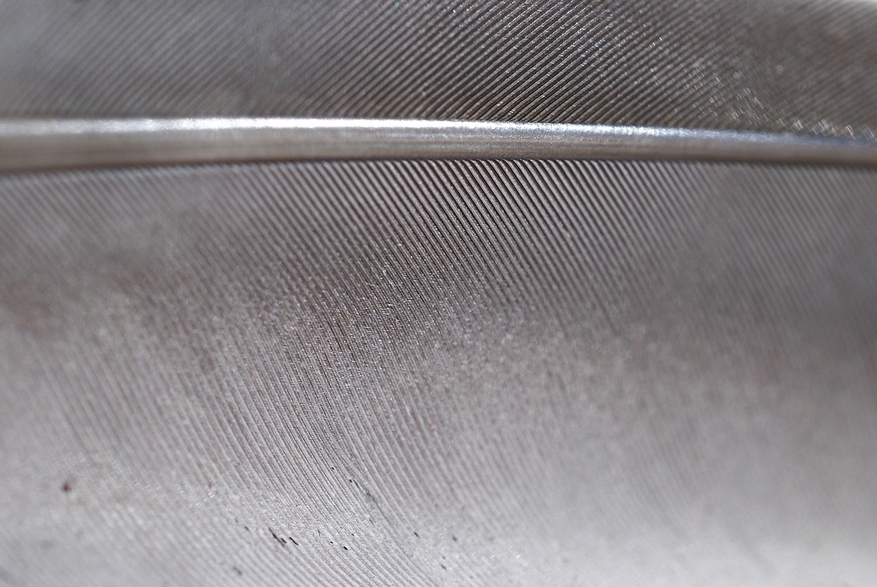 الحمام الشامي: دليل شامل للألوان، المواصفات، والأسعار