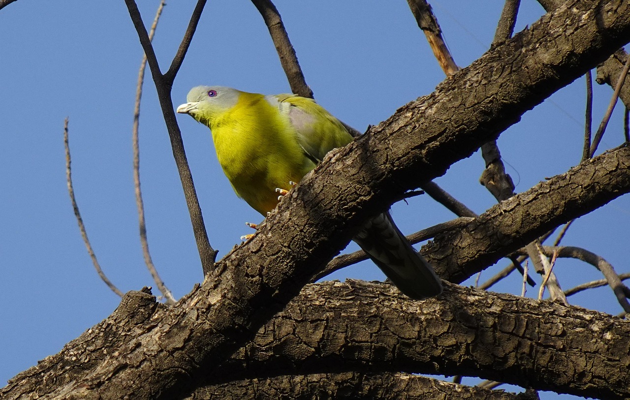 دليل تصوير حمام الزينة لرفع قيمته السوقية في العروض