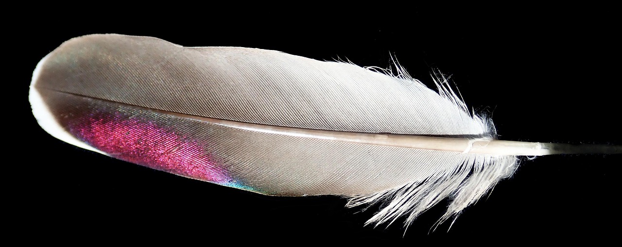 Technical Analysis of GPS Devices in High-Value Pigeon Racing