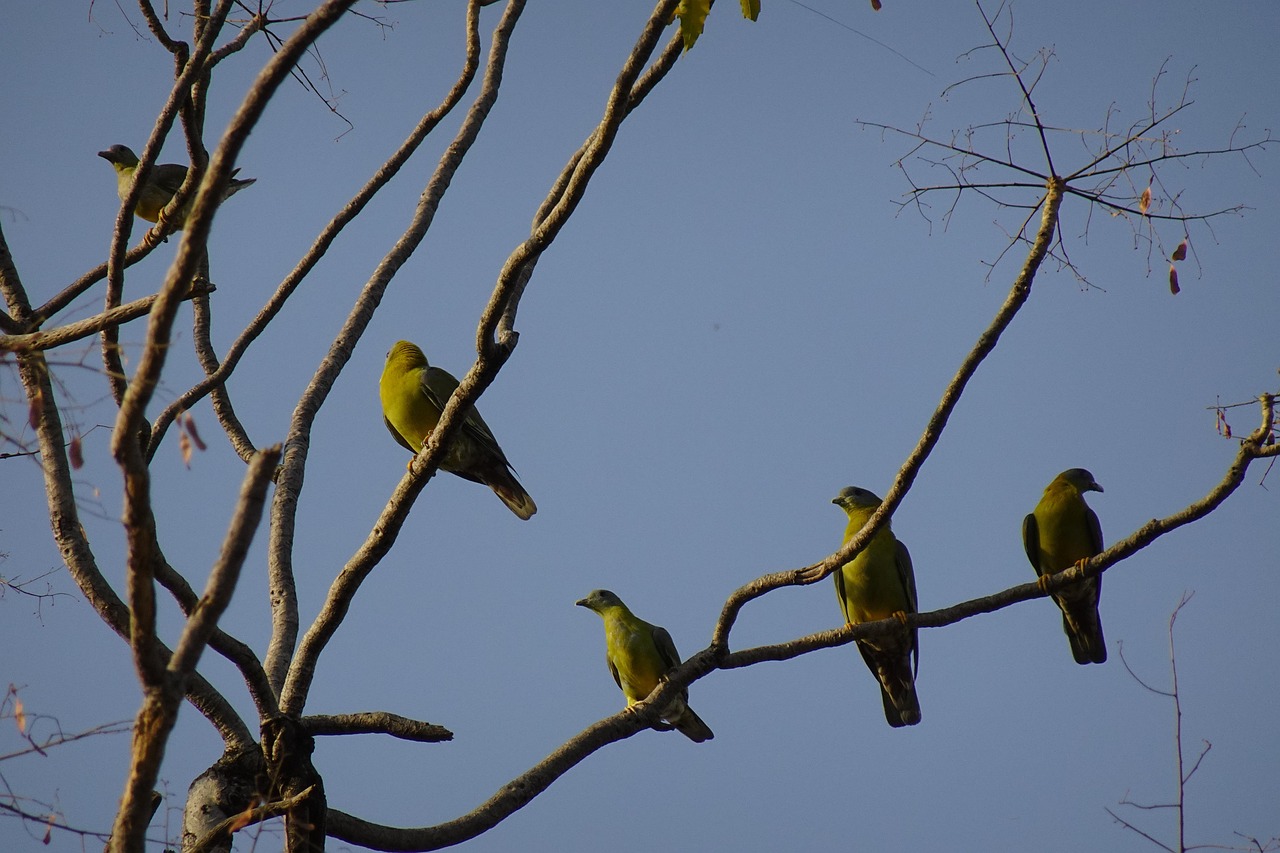 كيف تكتب إعلان بيع حمام يجذب المشترين بسرعة؟